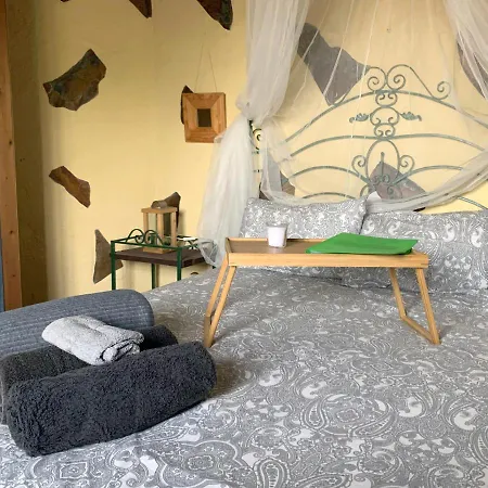 Canaria Hombre De Palo *