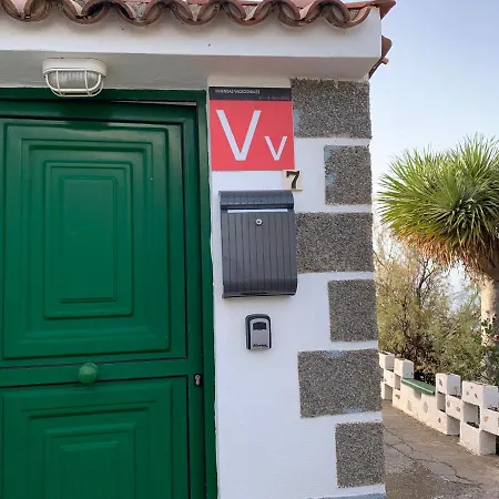 Canaria Hombre De Palo Santa-Cruz de Ténérife