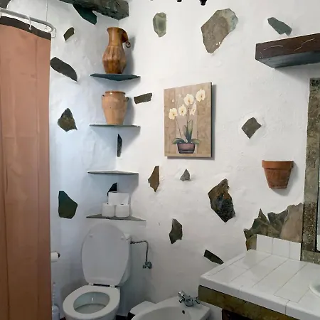 Canaria Hombre De Palo *