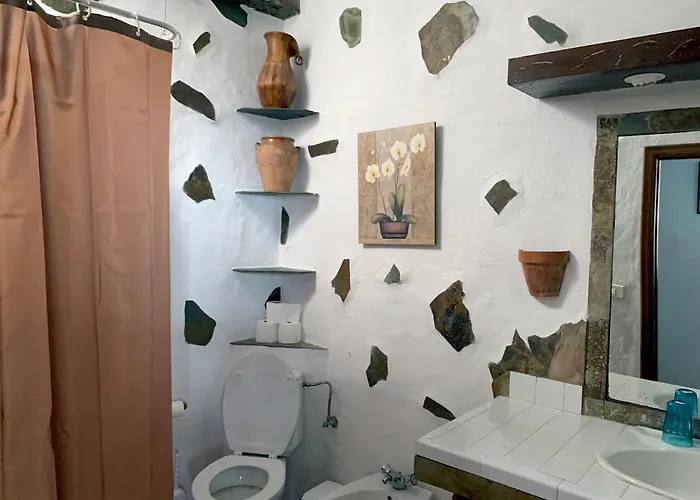 Canaria Hombre De Palo *