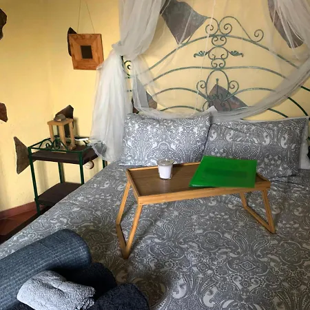 Canaria Hombre De Palo Landhaus
